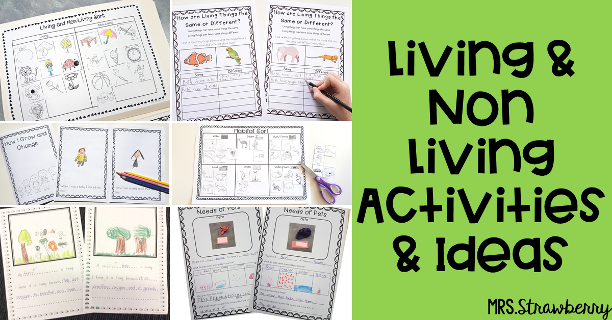 Living and Non Living Activities and Lesson Ideas - Mrs. Strawberry